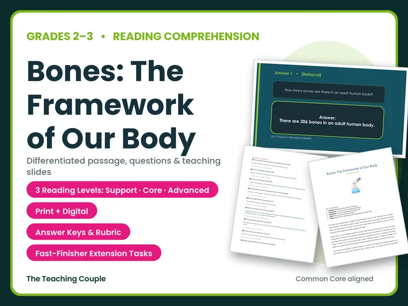 Bones: The Framework of Our Body