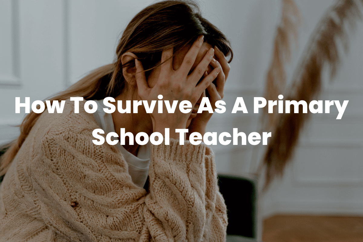 Primary School Teacher