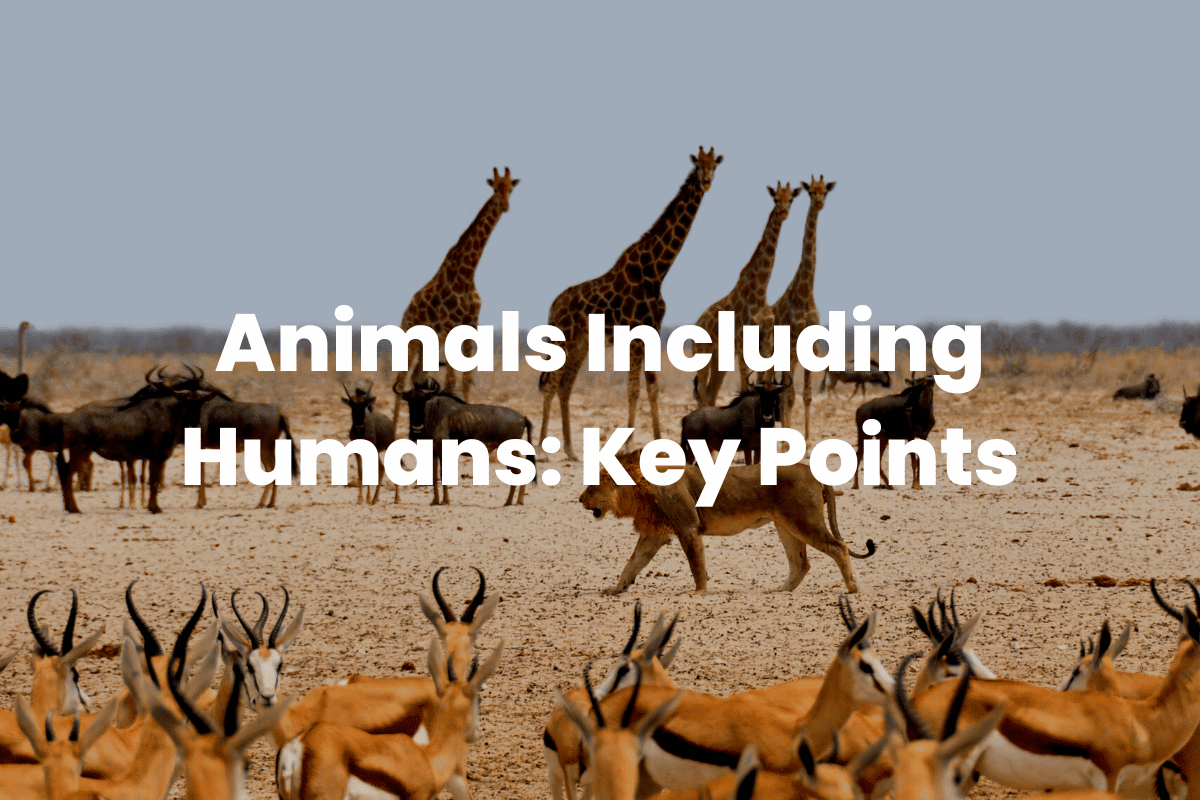 Animals Including Humans