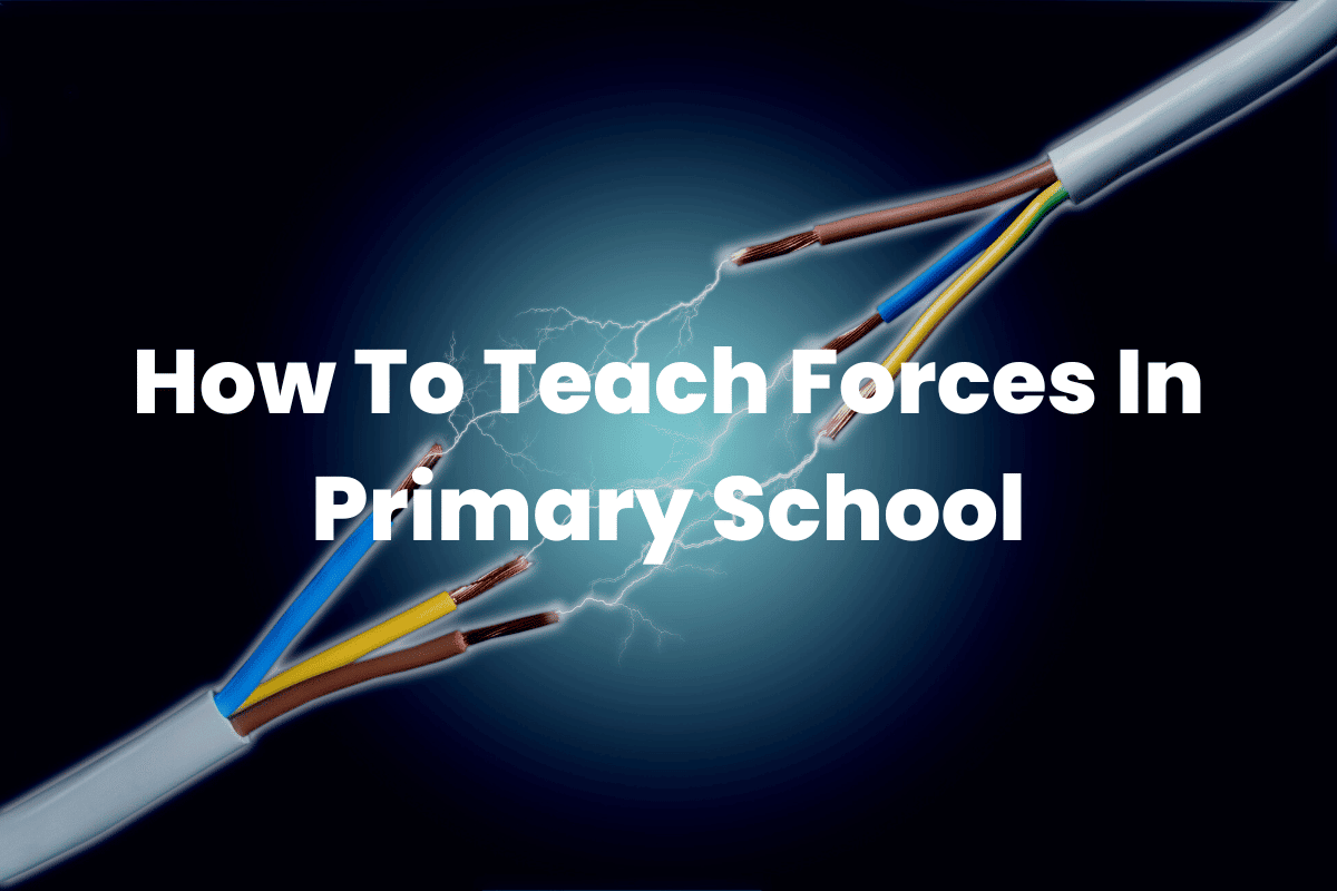 Teach Forces In Primary School