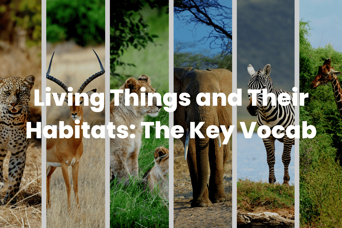 Living Things and Their Habitats