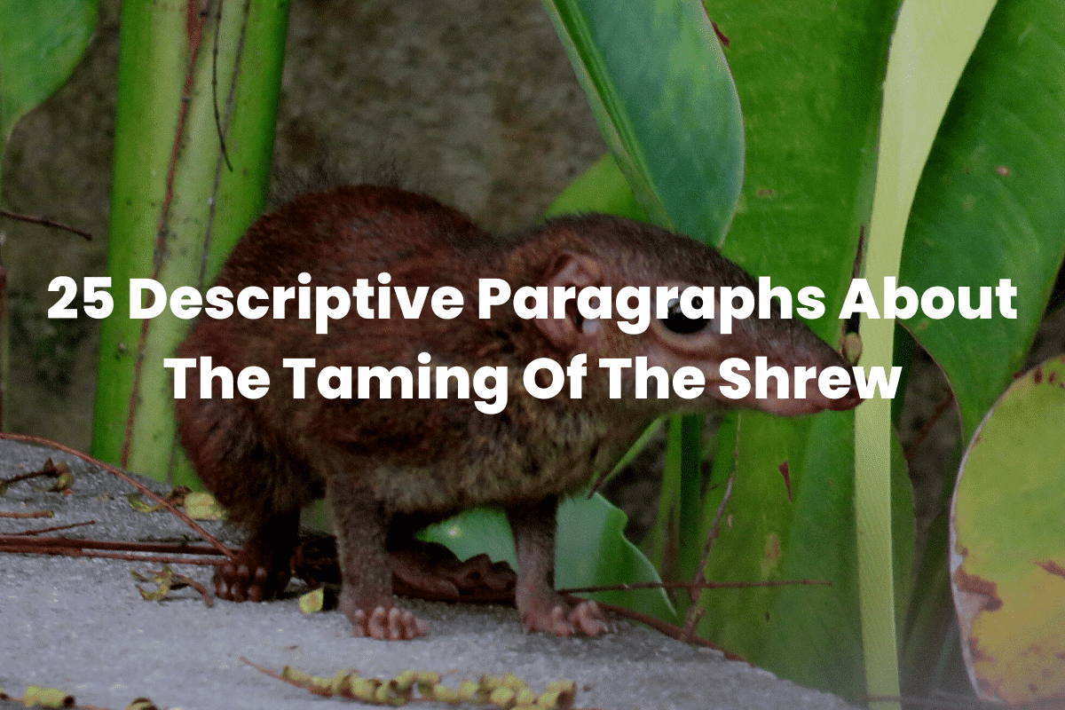 Descriptive Paragraphs About The Taming Of The Shrew