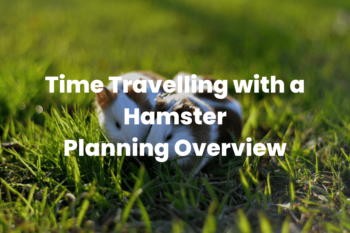 Time Travelling with a Hamster