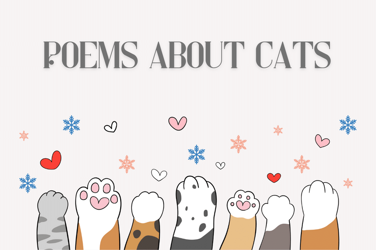 Poems About Cats