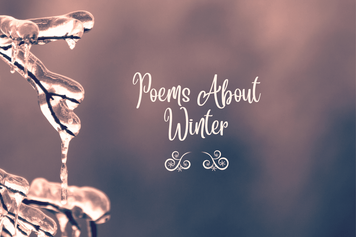 Poems About Winter