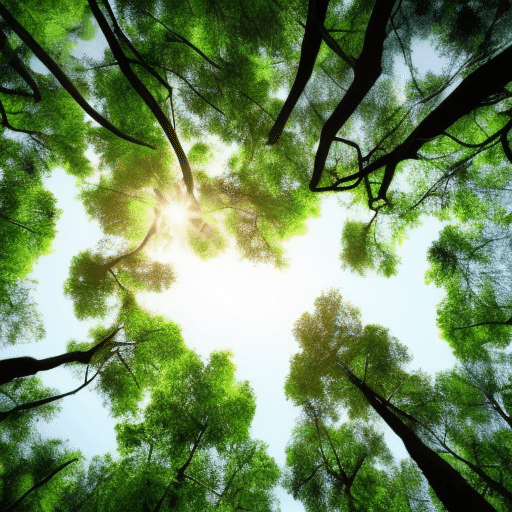 poems about the environment