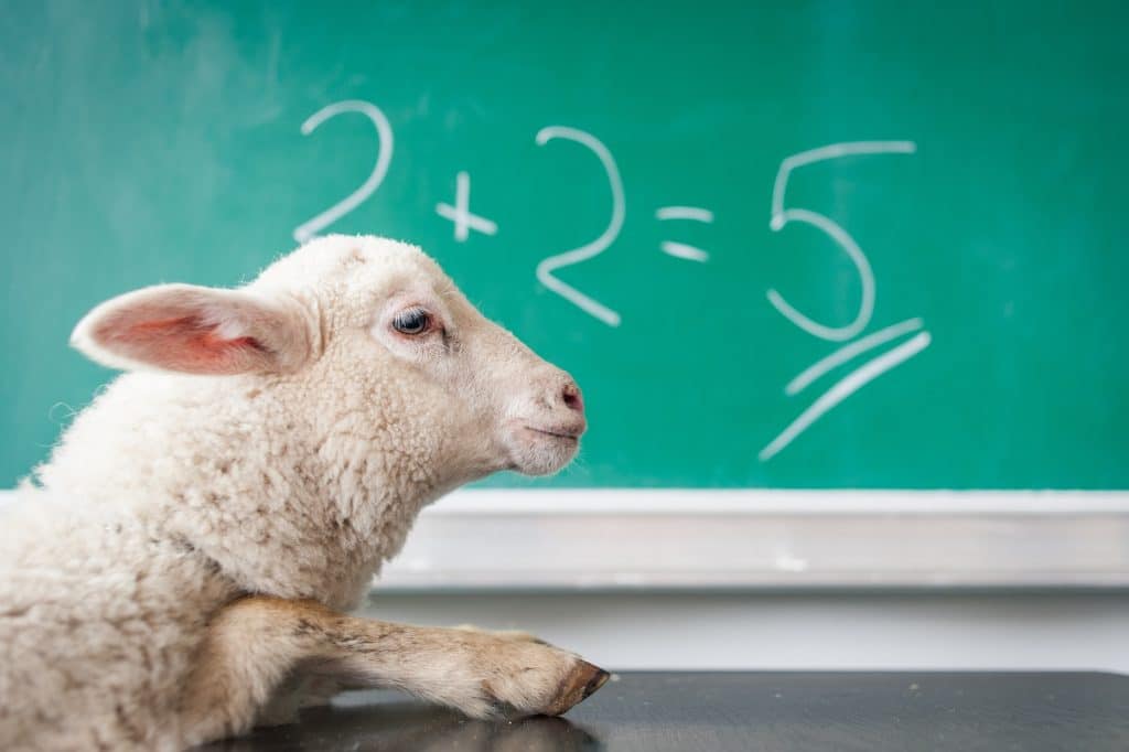 second grade math