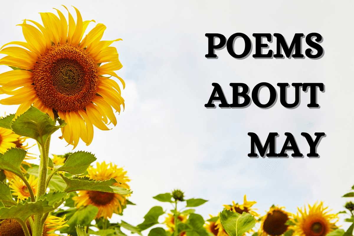 Poems About May