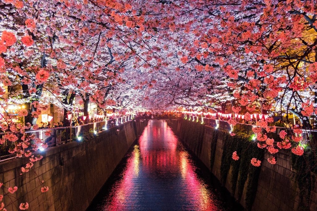 teaching in Japan