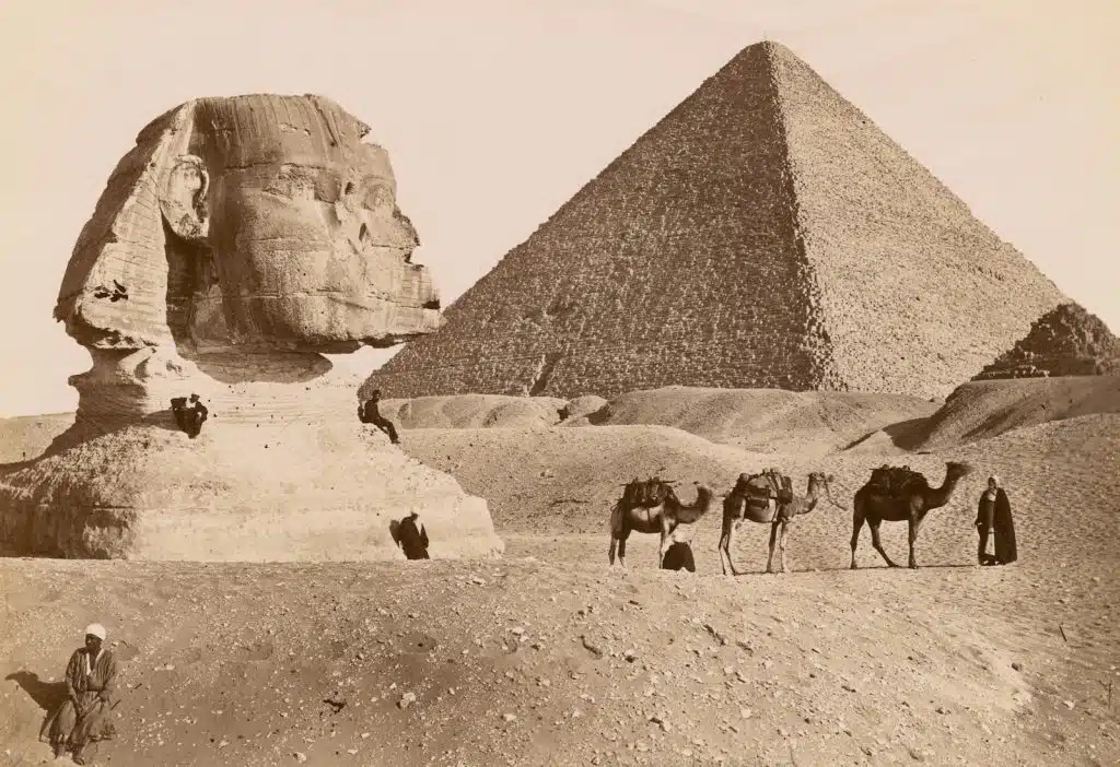 The importance of teaching history
