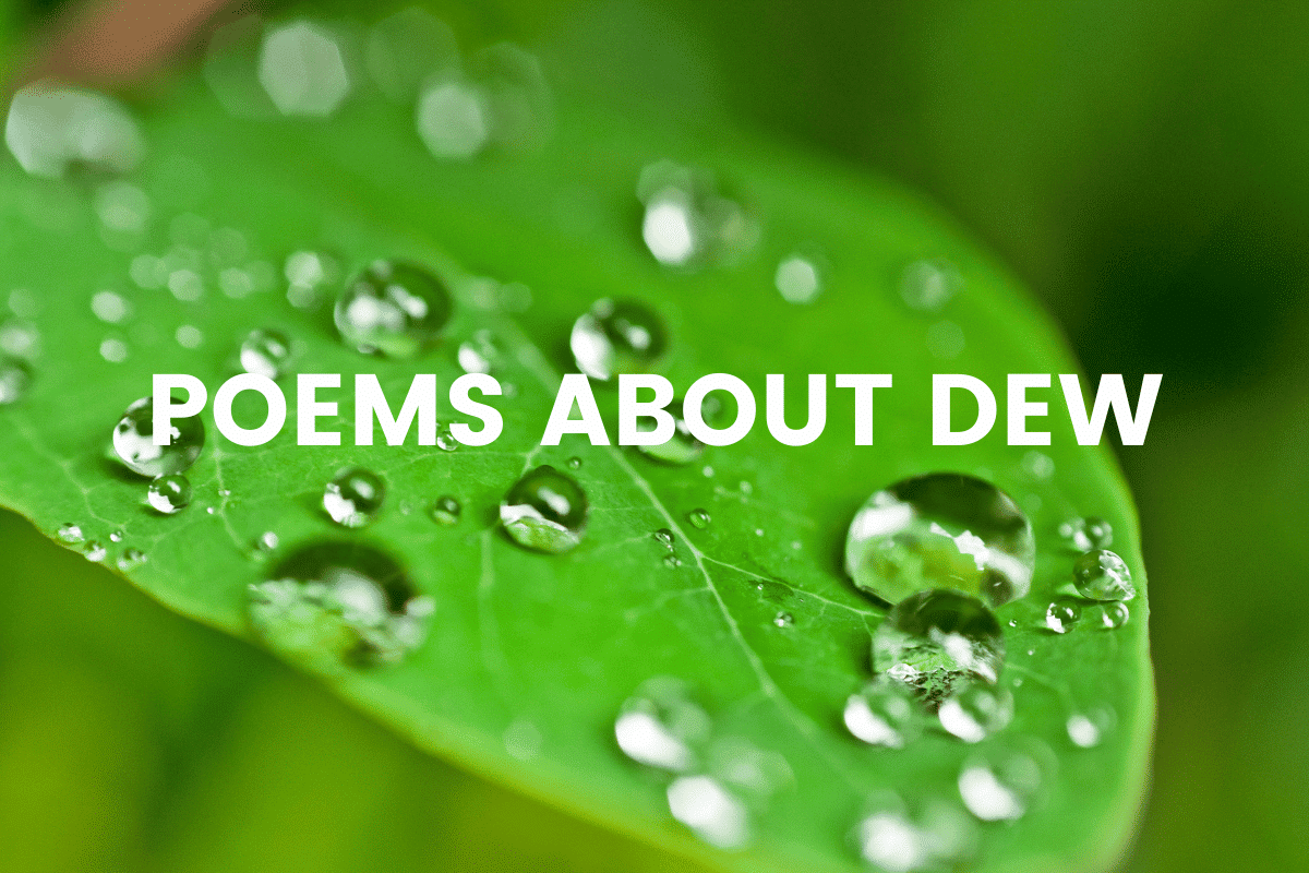 Poems About Dew