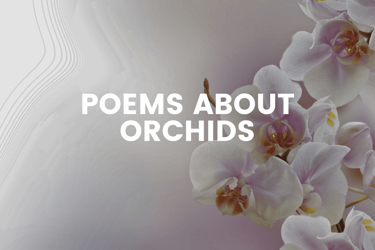 Poems About Orchids