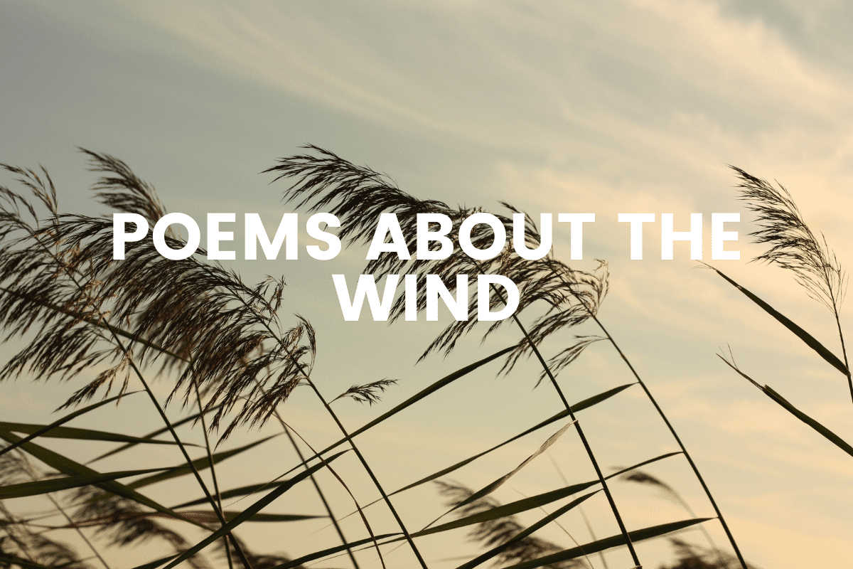 Poems About The Wind