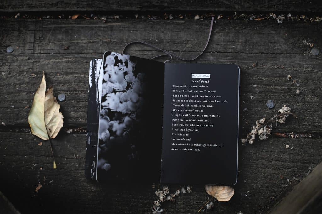 poetry book