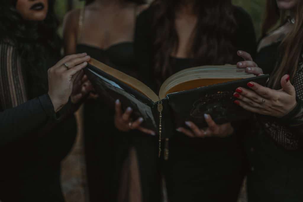 The Witches by Roald Dahl