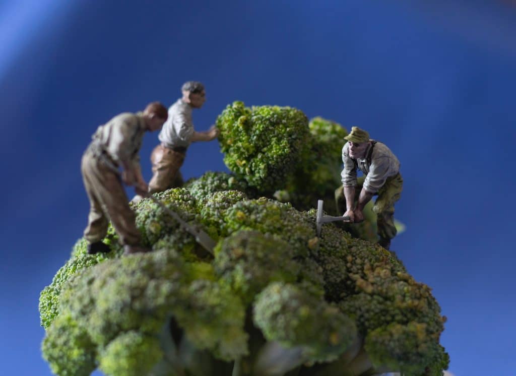 The Borrowers