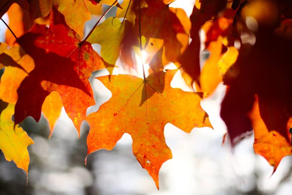 september poems