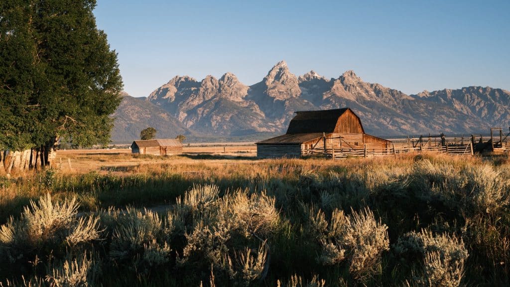 The Top Poets From Wyoming