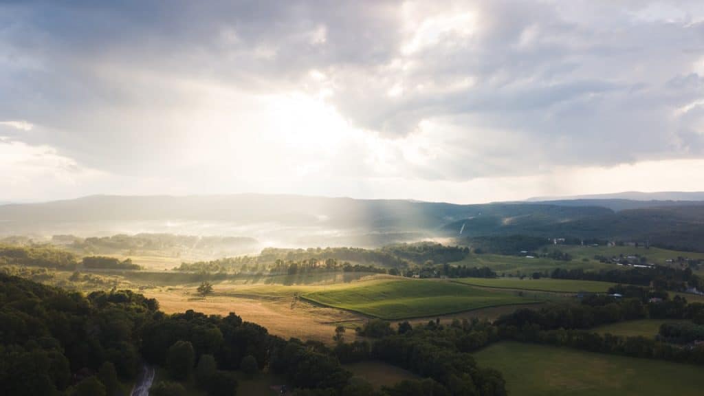 The Top Poets From Virginia