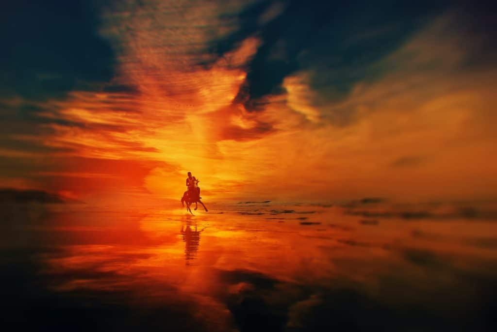 War Horse