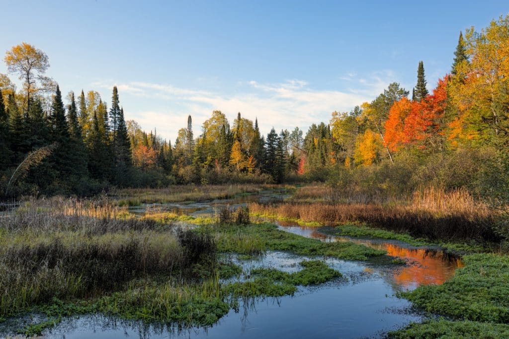 The Top Poets From Wisconsin