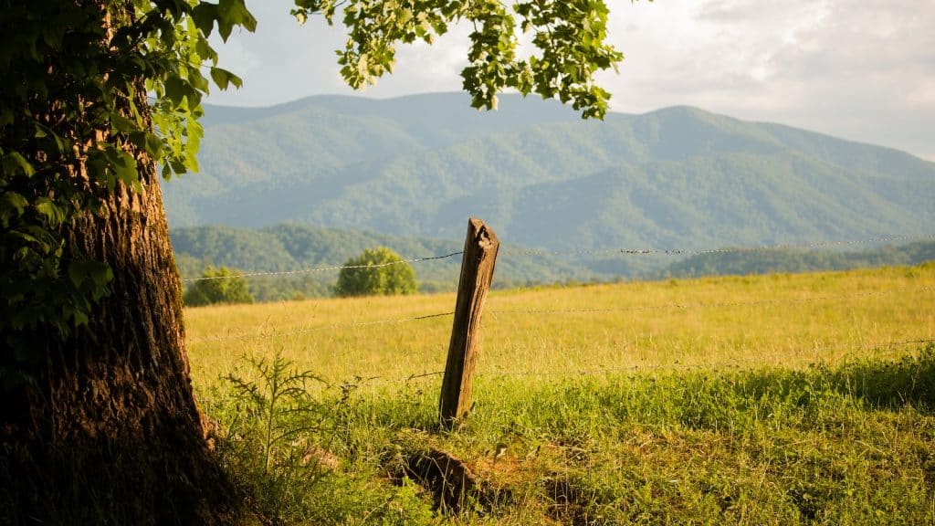 The Top Poets From Tennessee