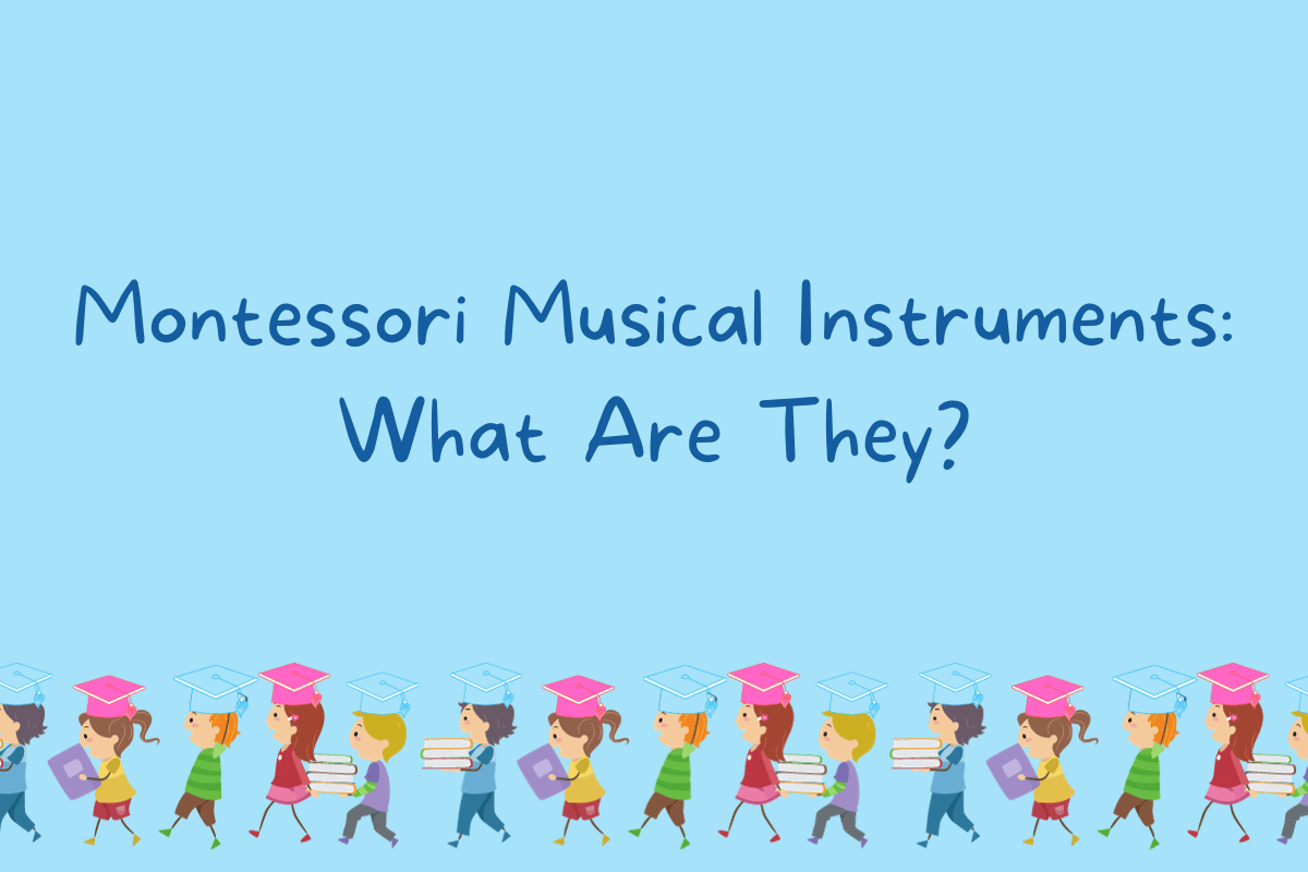 Montessori Musical Instruments