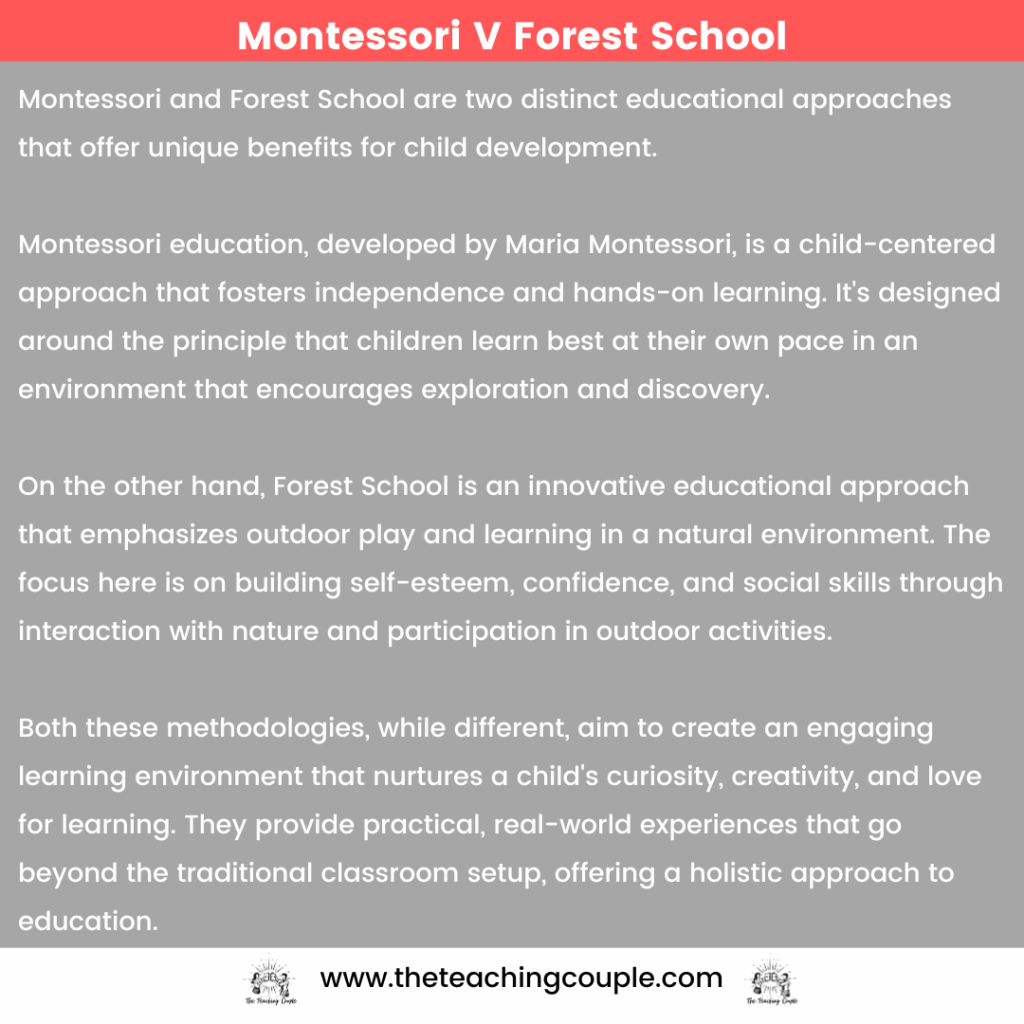 Montessori V Forest School