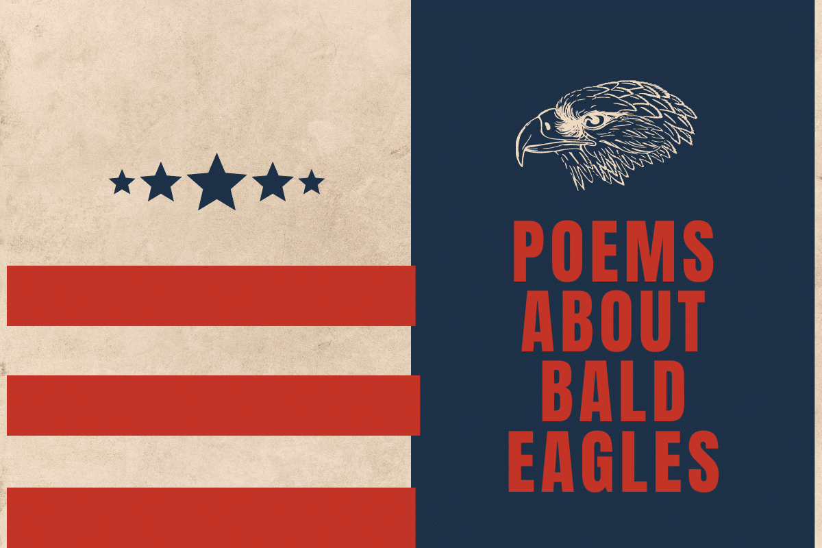 Poems About Bald Eagles