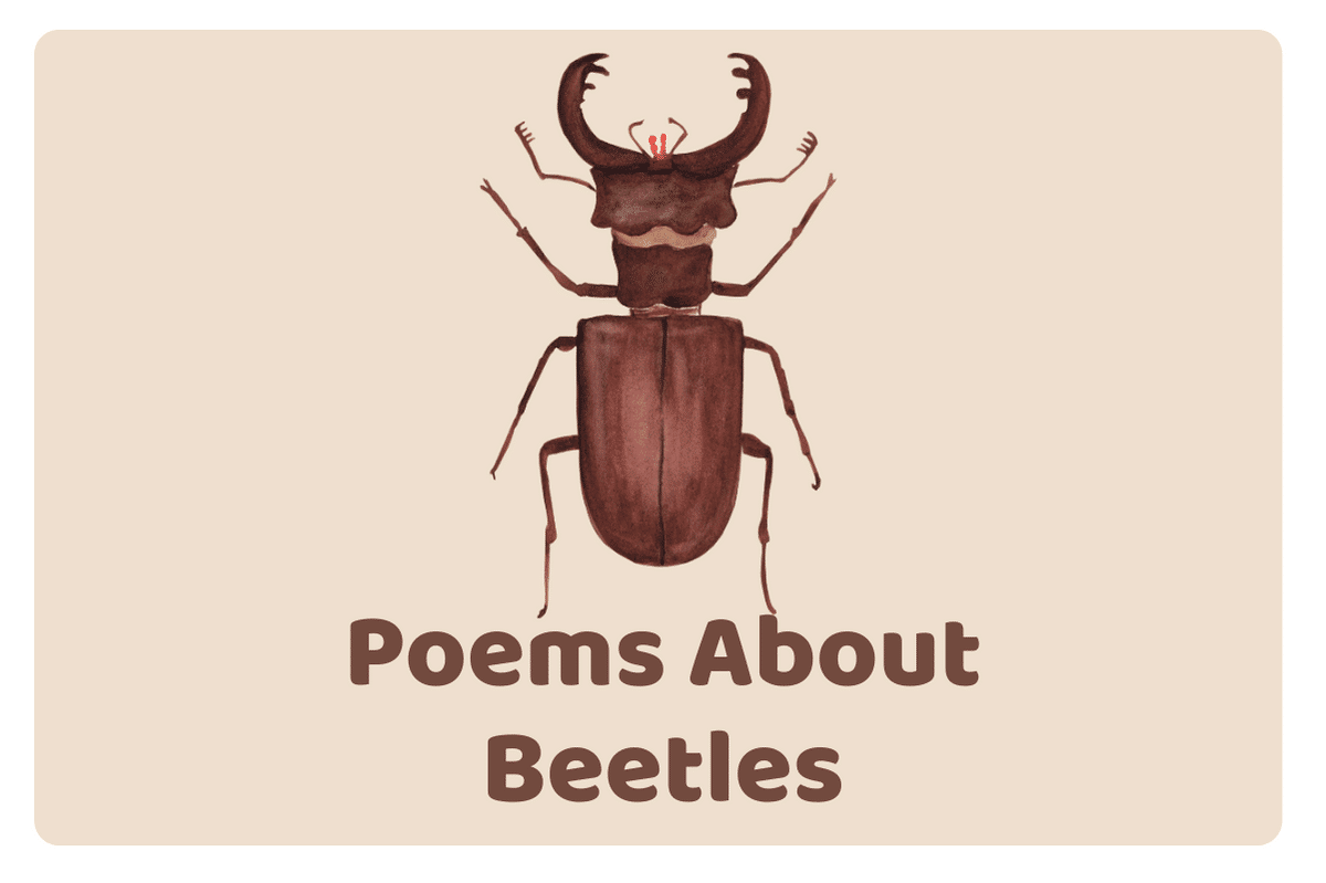 Poems About Beetles