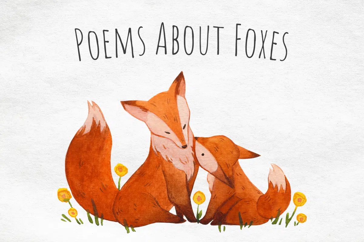 Poems About Foxes