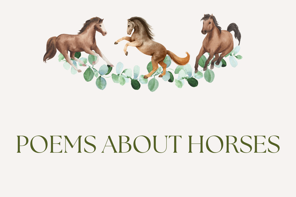 Poems About Horses