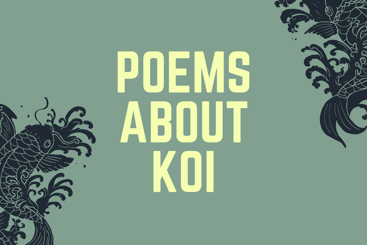 Poems About Koi