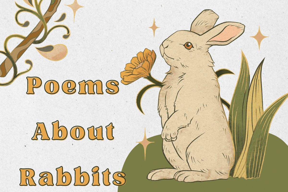 Poems About Rabbits