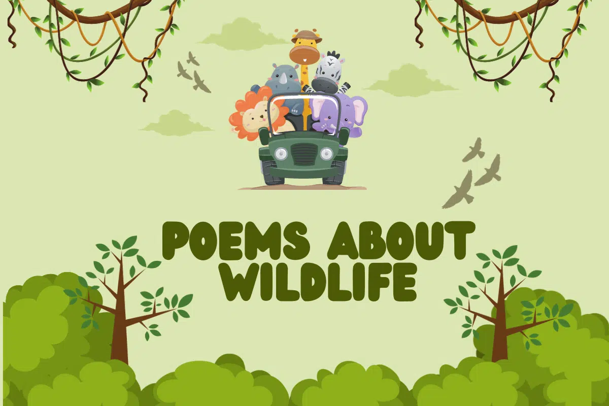 Poems About Wildlife