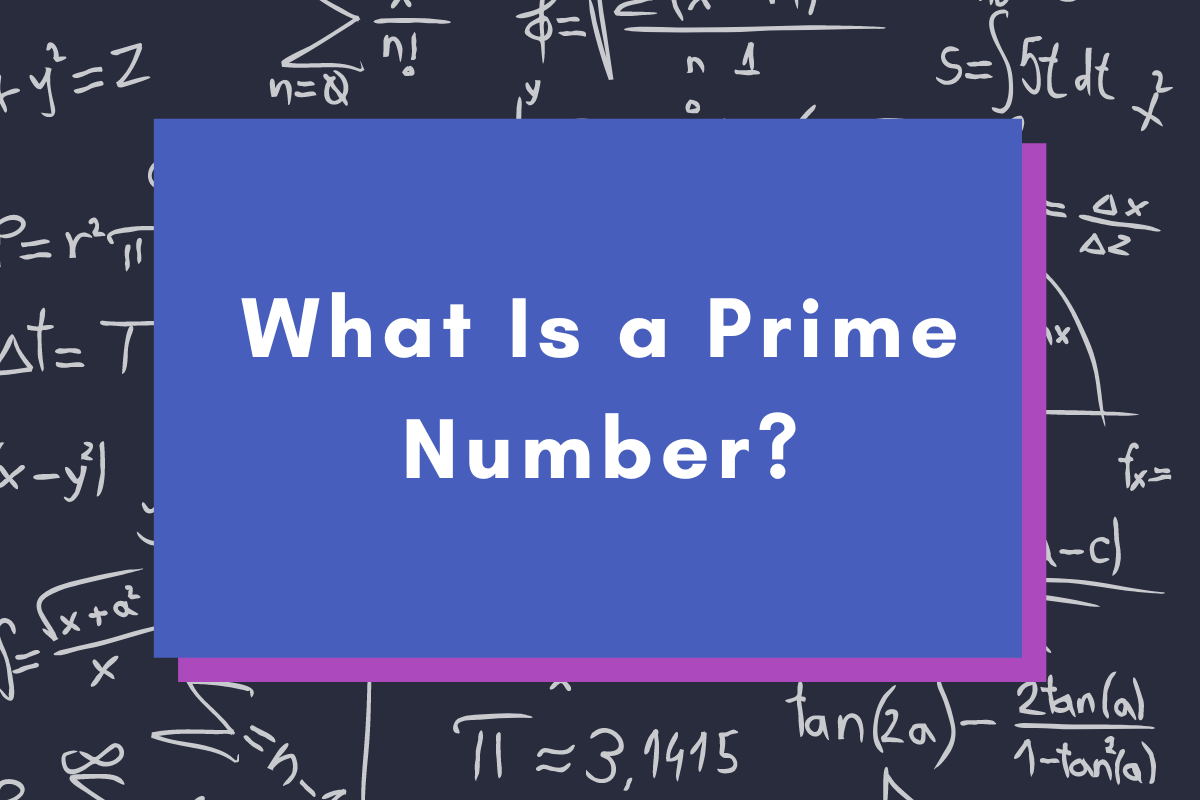 What Is a Prime Number?