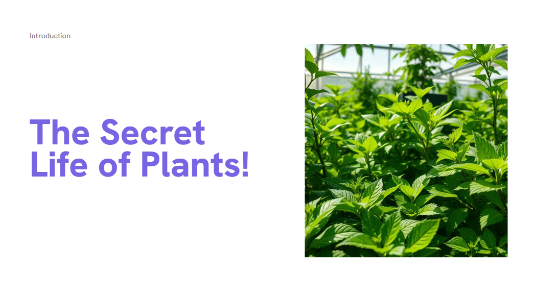 The Secret Lifes of Plants!