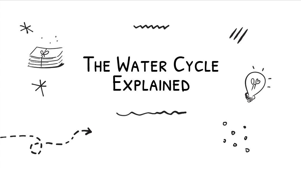The Water Cycle Explained
